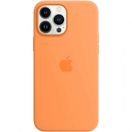 Чехол для смартфона Apple iPhone 13 Pro Max Silicone Case MagSafe, весенняя мимоза