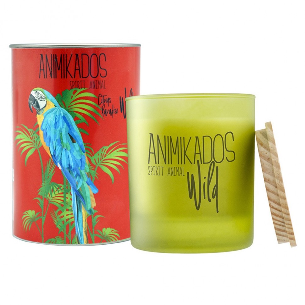 Свеча ароматическая Ambientair Wild Parrot VV040CPAW, цитрусовый Свеча ароматическая Ambientair Wild Parrot VV040CPAW, цитрусовый